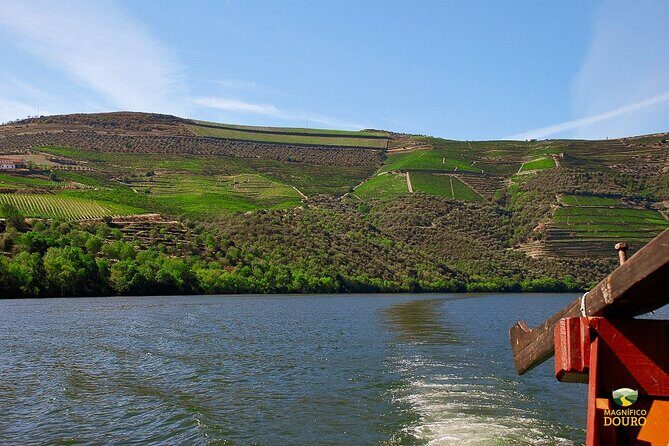 1-Hour Rabelo Boat Trip in Pinhão - Where You Start in Pinhão (and Why It Matters)