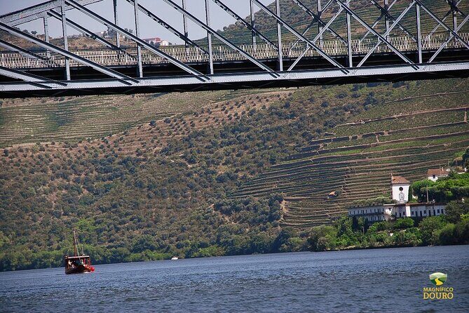 1-Hour Rabelo Boat Trip in Pinhão - What a Rabelo Boat Feels Like (Open vs. Closed Comfort)