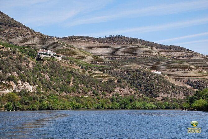 1-Hour Rabelo Boat Trip in Pinhão - The Douro Wine Region Context You’re Actually Seeing