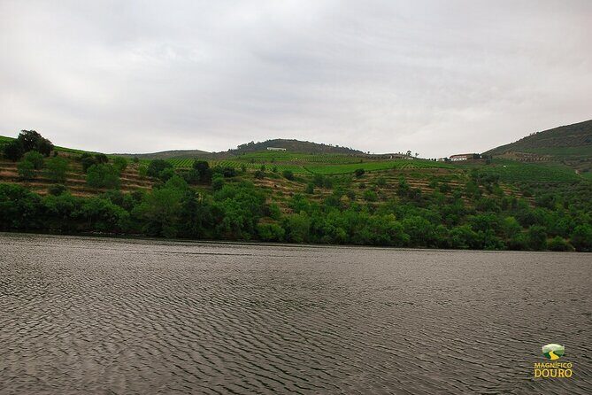 1-Hour Rabelo Boat Trip in Pinhão - Timing and Crowds: How to Avoid the Common Headaches