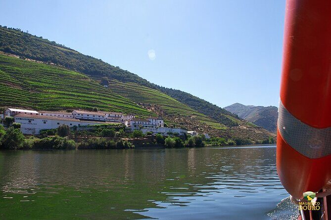 1-Hour Rabelo Boat Trip in Pinhão - Price and Value: Is $18 Worth It?
