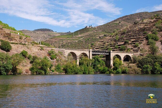 1-Hour Rabelo Boat Trip in Pinhão - The 1-Hour Itinerary: Pinhão → Roncão → Pinhão