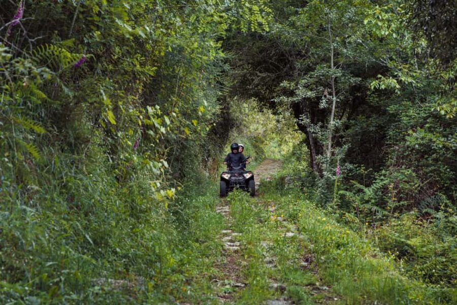 1h Quad Tour • Arcos de Valdevez • Peneda Gerês - Value for $81: Is This a Smart Use of Your Time and Money?