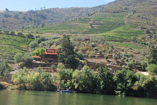 2-hour Rabelo Boat tour in Pinhão - Price and value: does $36.04 for two hours make sense?