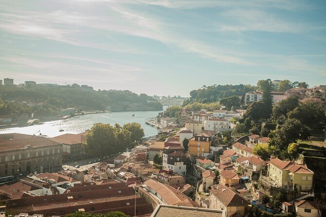 3-hour private guided walking tour of the BEST of Porto - Price and value: what $204.46 really means for your group