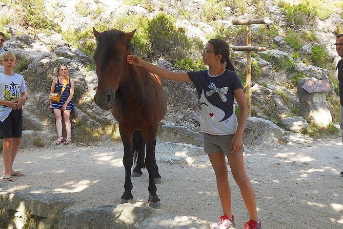3 Wonderful Waterfalls in a Day - Pincaes Cascate: forest trail walking with waterfall reward