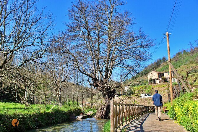 A tour between Cascades and Schist Villages, Piodão - Why This Coimbra-to-Piodão Day Feels Like the Real Portugal