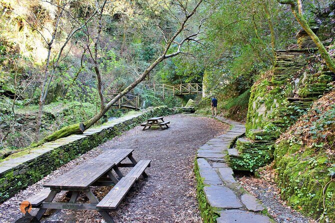 A tour between Cascades and Schist Villages, Piodão - Stop-by-Stop: Montalto Views, Coja River Pools, and Piodão’s Schist Houses