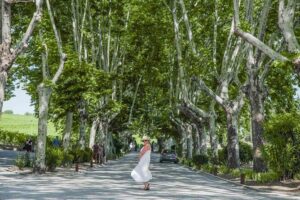 Authentic Douro Valley - small-Group Tour (Max 7) - Price, group size, and what you’re really paying for