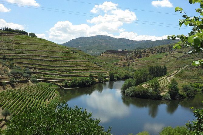 Authentic Douro Valley - small-Group Tour (Max 7) - The start in Porto: from the statue to the terraced hills