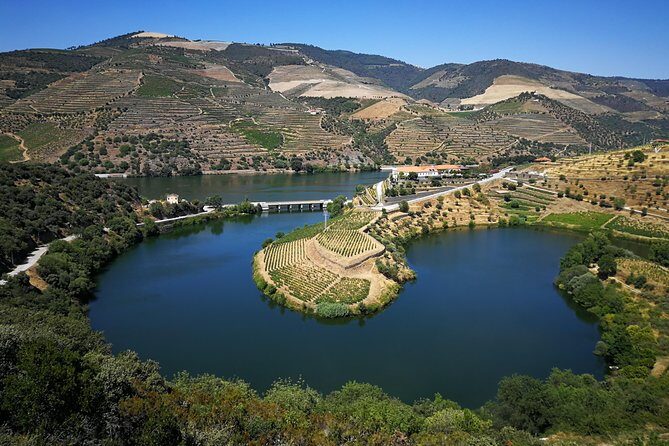 Authentic Douro Valley - small-Group Tour (Max 7) - Guide impact and why the driver matters on Douro roads