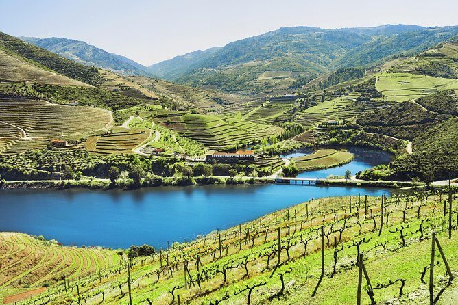 Authentic Small Group Douro Wine Tour with Lunch & River Cruise - Why this Douro day trip beats DIY planning from Porto