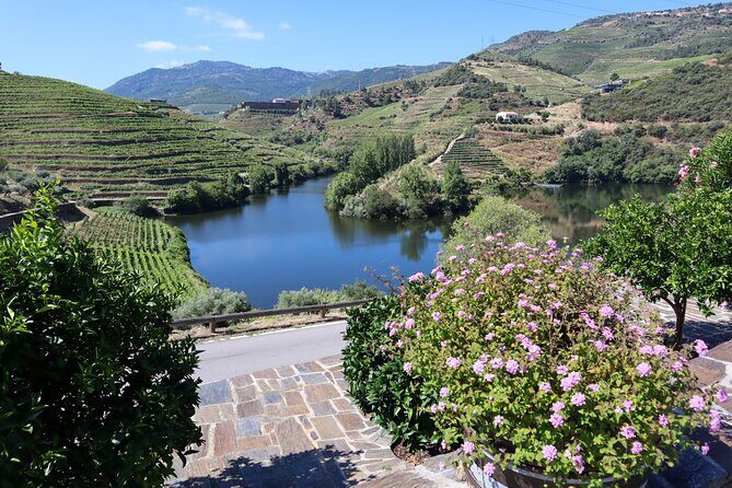 Authentic Small Group Douro Wine Tour with Lunch & River Cruise - Peso da Régua stop: a quick history hit plus coffee time