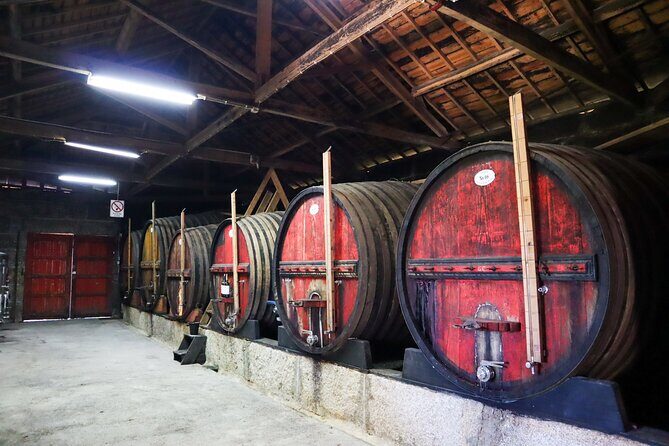 Authentic Small Group Douro Wine Tour with Lunch & River Cruise - Quinta do Tedo (or a comparable first winery): what you learn during tasting