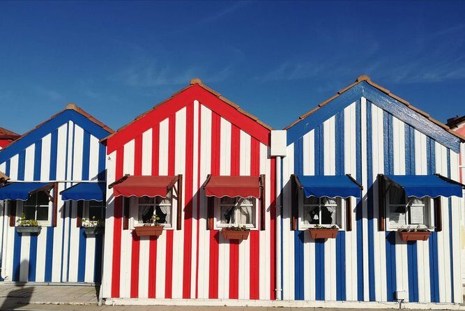 Aveiro and Coimbra Small Group Tour with Moliceiro Boat Cruise - Two Cities, One Smooth Portugal Day