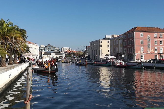 Aveiro and Coimbra Small Group Tour with Moliceiro Boat Cruise - How Much Free Time You Really Get for Food and Browsing