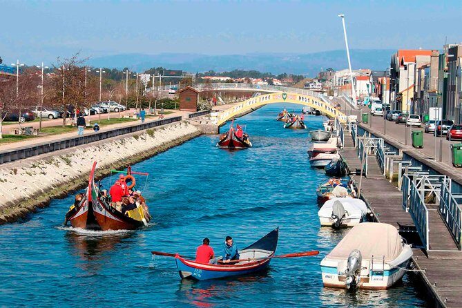 Aveiro Canal Cruise in Traditional Moliceiro Boat - Aveiro Canal Cruise on a moliceiro boat: why it’s worth your hour