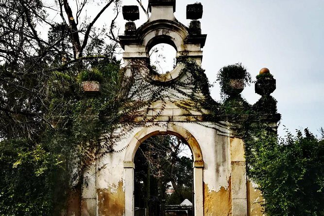 Aveiro, Costa Nova and Coimbra Private Tour From Porto - Porto pickup and the comfort that makes a long day easier
