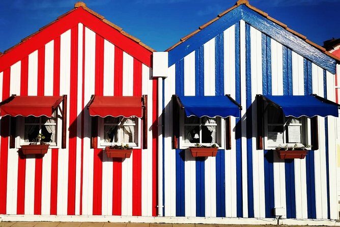 Aveiro, Costa Nova and Coimbra Private Tour From Porto - Biblioteca Joanina and University of Coimbra: seeing the academic side of Portugal