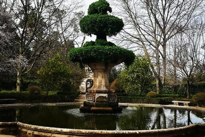 Aveiro, Costa Nova and Coimbra Private Tour From Porto - Timing, weather, and the reality of a 6–9 hour schedule