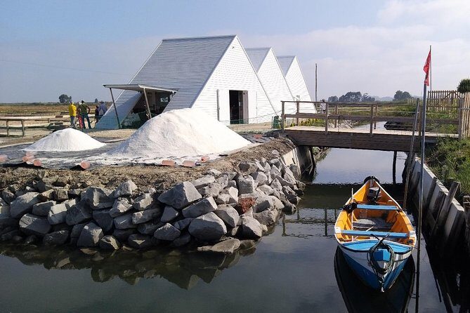 Aveiro & Costa Nova Private Tour – Canals & Striped Houses - São Jacinto Nature Reserve: dunes, swamps, and a real sense of place