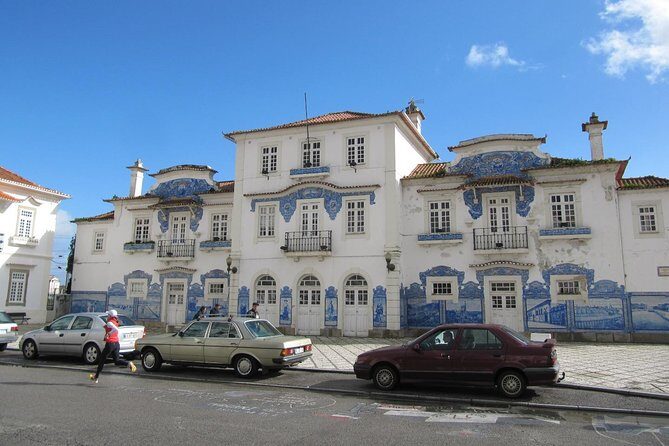 Aveiro & Costa Nova Private Tour – Canals & Striped Houses - Viva a Ria canal ride and Art Nouveau stops in central Aveiro