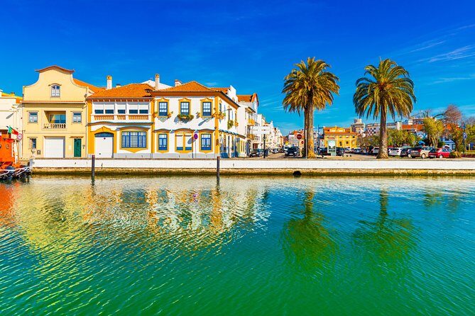 Aveiro Half Day Private Tour Porto w/ Moliceiro River Cruise - Aveiro on foot: Art Nouveau Museum and Mercado do Peixe