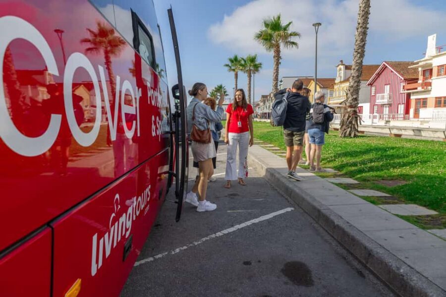 Aveiro: Half-Day Tour from Porto with Cruise - Return to Porto: Smooth Finish With Enough Energy Left