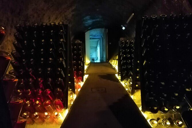 Bairrada Winery Route, half day from Coimbra - Baloiço Maria Gomes: a quick vineyard view break (and why it matters)