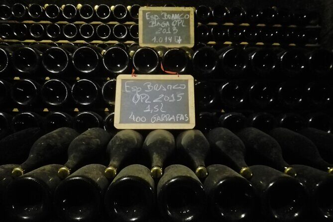 Bairrada Winery Route, half day from Coimbra - Price and value: what $119.09 really buys you