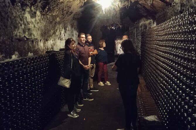 Bairrada Winery Route, half day from Coimbra - The guide factor: why Xavier-style hosting boosts the whole afternoon