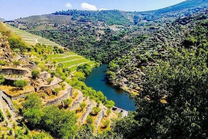 Best of Douro Valley Wine Full Day Private Tour - A Douro day that feels personal, not like a bus tour