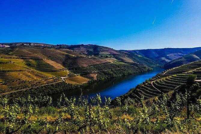 Best of Douro Valley Wine Full Day Private Tour - Stop 1 in Peso da Régua: Top Port and dry wine tasting time