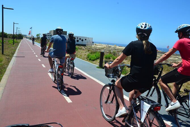 Bike or E-Bike Tour of Porto and Atlantic Coast - Pine forest pedal from Esmoriz to Furadouro
