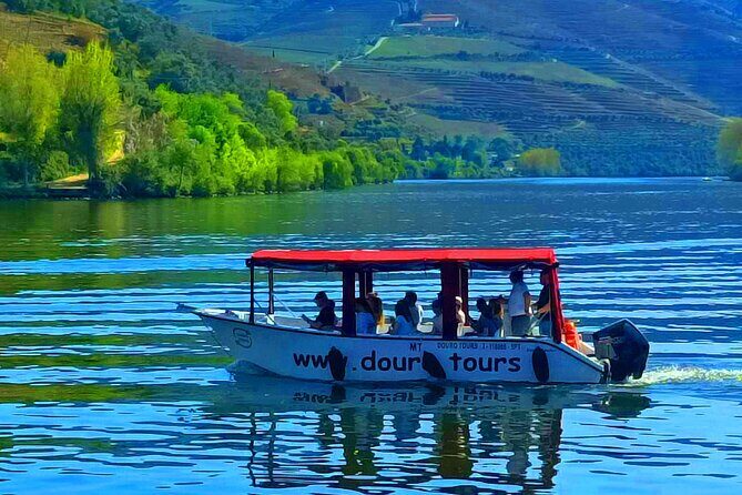 Boat tour 50min through the river Douro in Pinhão - Group Size, Comfort, and Safety Details You’ll Actually Care About