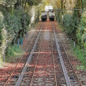 Braga and Guimarães Historical and Cultural Tour from Porto - Getting from Porto to Braga: the van ride that sets the tone
