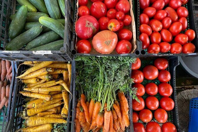 Buy, Cook & Taste-Gastronomic Tour North Portugal - Who this North Portugal tour is best for