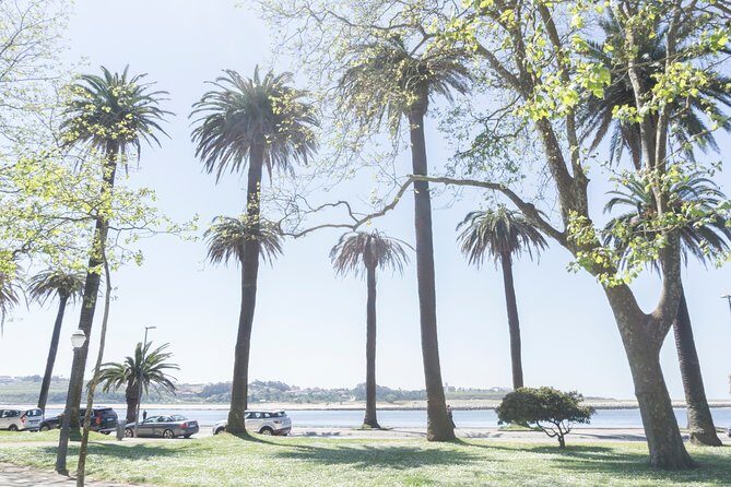 City Bike Rental in Porto - First-timers and moderate fitness: when this rental is a great fit