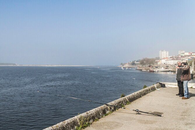 City Bike Rental in Porto - The real value: cycle maps built for Porto’s bike routes