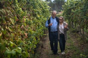 Classic Tasting | Quinta de Santa Cristina Vinho Verde - Aromas for adults, juice tasting for kids, and cookies for everyone