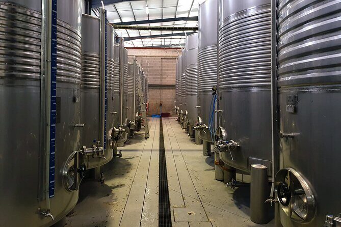 Classic Tasting | Quinta de Santa Cristina Vinho Verde - Wine shop stop: take home bottles and local products