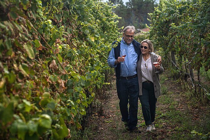 Classic Tasting | Quinta de Santa Cristina Vinho Verde - Aromas for adults, juice tasting for kids, and cookies for everyone