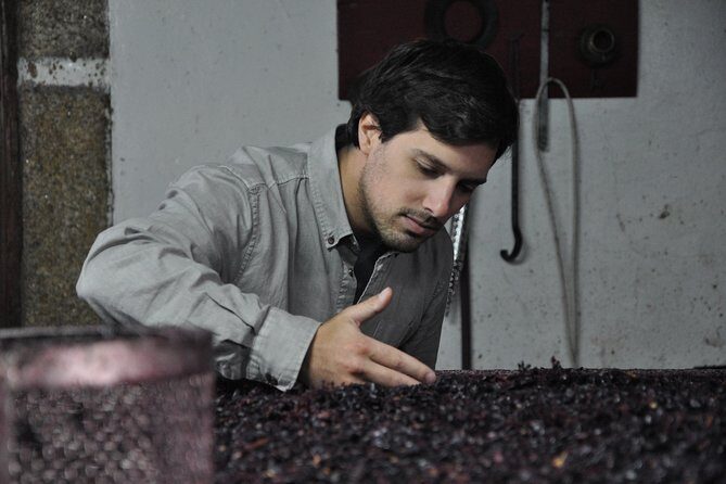 Classic Wine Tasting with GUIDED TOUR - What you actually taste: 3 table wines and 2 Port wines