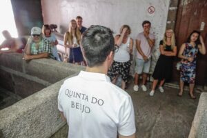 Classic Wine Tasting with GUIDED TOUR - Stop inside Quinta do Beijo’s cellar: traditional vs modern vinification