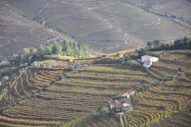 Classic Wine Tasting with GUIDED TOUR - Value check: is $30.23 worth it for five tastings?
