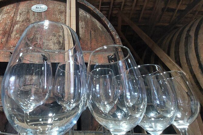 Classic Wine Tasting with GUIDED TOUR - Who this tour suits best in Northern Portugal