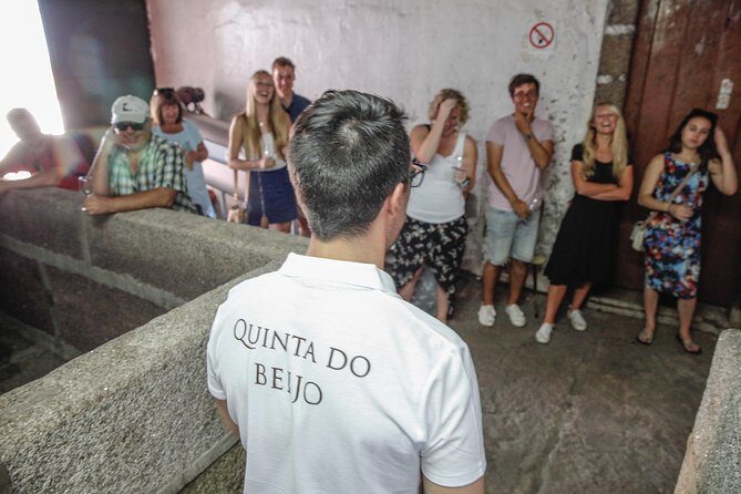 Classic Wine Tasting with GUIDED TOUR - Stop inside Quinta do Beijo’s cellar: traditional vs modern vinification