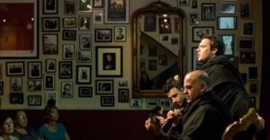Coimbra: Live Fado Show with Glass of Port Wine - Fado de Coimbra vs. other Fado: what makes it different