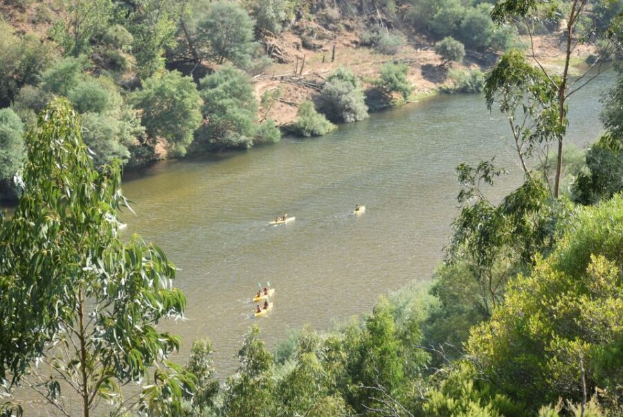 Coimbra: Mondego River Kayaking Tour - River beach swims and the Palheiros bar stop