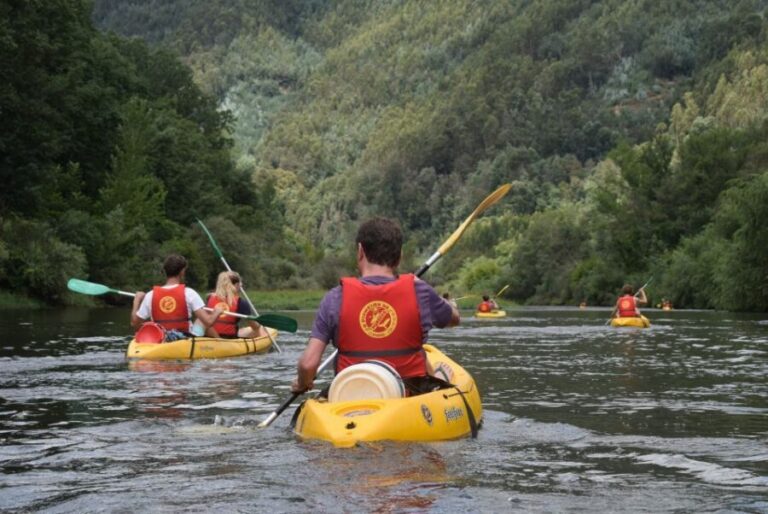 Coimbra: Mondego River Kayaking Tour - Morning setup in Penacova: bus ride, safety talk, then water